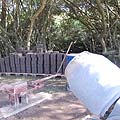 Ecotienda