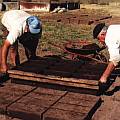 Viviendas Rapetti (1997)