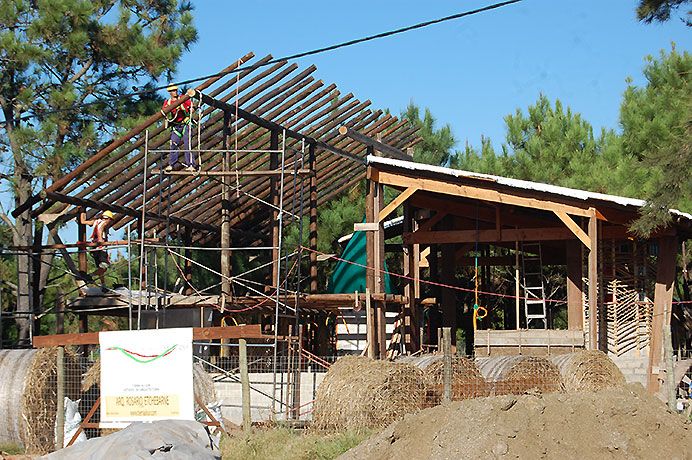 La estructura de madera. Se deja una junta de trabajo entre volumen de 2 niveles y volumen mas bajo. Es estructura doble.