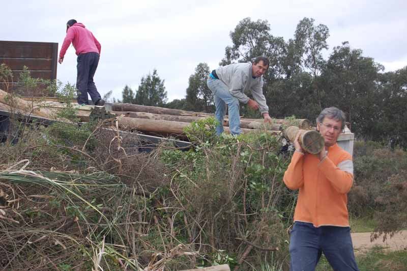 Bajando la madera para la estructura.