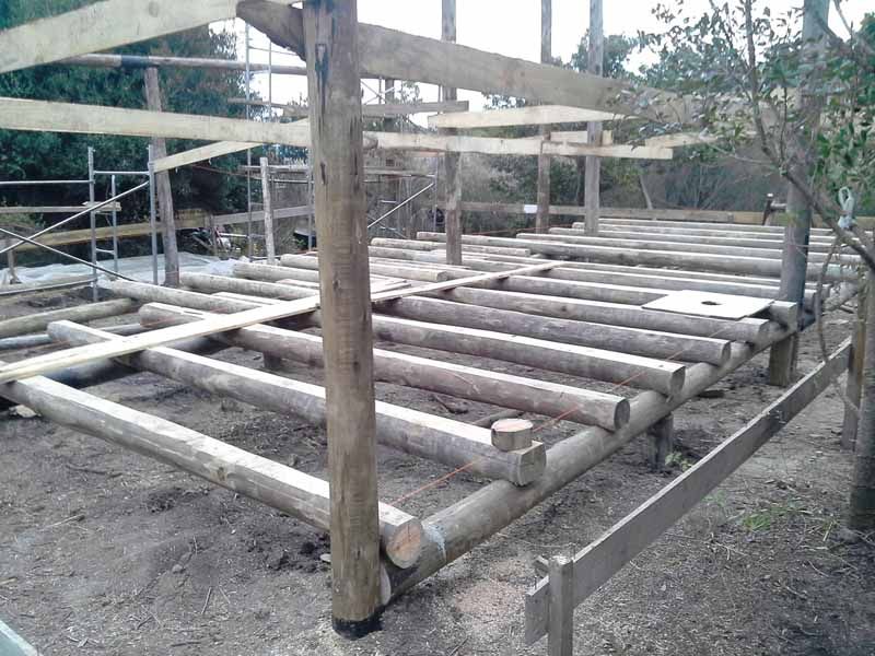 Inicio de cimentación y estructura.