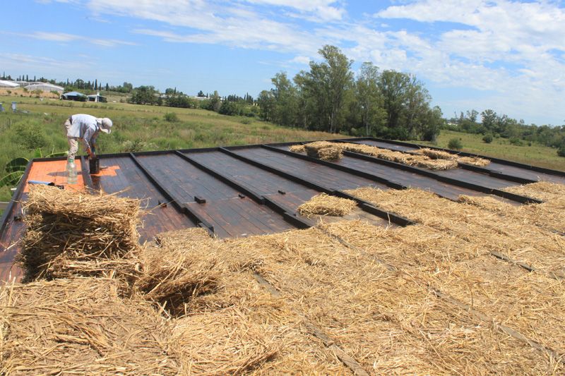 Colocando BTA (bloque tierra alivianada) sobre el cielorraso