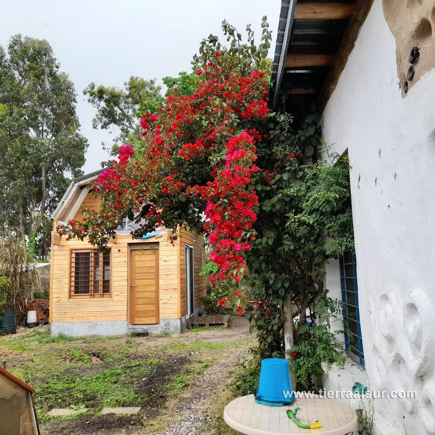Casa de Andrés en Solymar: Paneles de fajina en Solymar, 2022 — foto 7